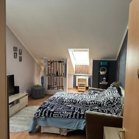 Groot Vakantieappartement Voor Gezinnen Apartment Amsterdam